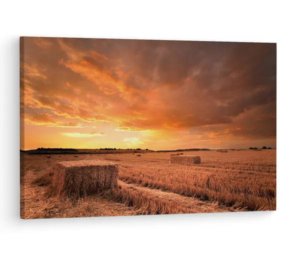 Multicolor_Hay_Bales_Sunset,_Wooden_Framed_Canvas_Paintings_|_For_Living_Room_|_Bedroom_|_Office_|_Gallery_|_Ready_Wall_Mount_Canvas_Wall_Art_Painting_|_Size_-_12_X_18In,_Ct0939