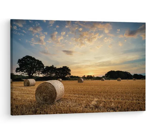Multicolor_Hay_Bales,_Wooden_Framed_Canvas_Paintings_|_For_Living_Room_|_Bedroom_|_Office_|_Gallery_|_Ready_Wall_Mount_Canvas_Wall_Art_Painting_|_Size_-_12_X_18In,_Ct0947
