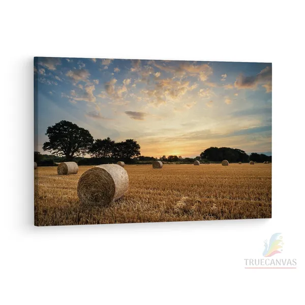 Multicolor_Hay_Bales,_Wooden_Framed_Canvas_Paintings_|_For_Living_Room_|_Bedroom_|_Office_|_Gallery_|_Ready_Wall_Mount_Canvas_Wall_Art_Painting_|_Size_-_12_X_18In,_Ct0947