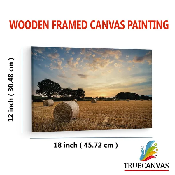 Multicolor_Hay_Bales,_Wooden_Framed_Canvas_Paintings_|_For_Living_Room_|_Bedroom_|_Office_|_Gallery_|_Ready_Wall_Mount_Canvas_Wall_Art_Painting_|_Size_-_12_X_18In,_Ct0947