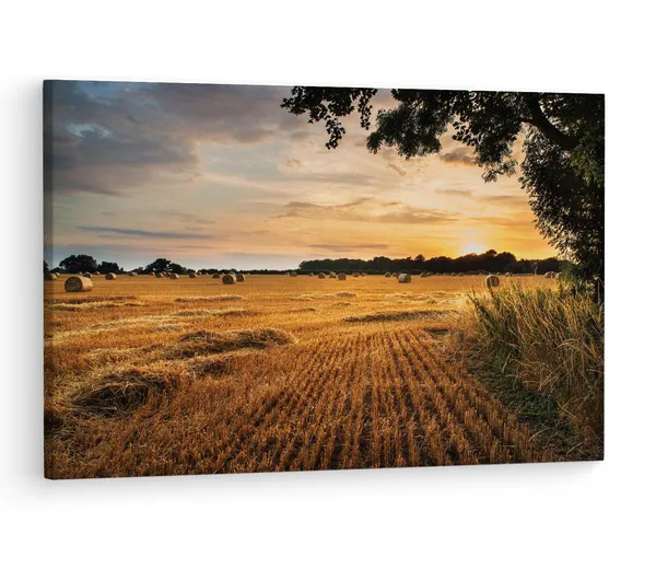 Multicolor_Rural_Landscape_Image_Of_Summer,_Wooden_Framed_Canvas_Paintings_|_For_Living_Room_|_Bedroom_|_Office_|_Gallery_|_Ready_Wall_Mount_Canvas_Wall_Art_Painting_|_Size_-_12_X_18In,_Ct0948