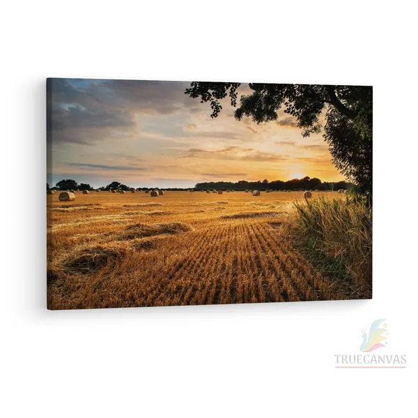 Multicolor_Rural_Landscape_Image_Of_Summer,_Wooden_Framed_Canvas_Paintings_|_For_Living_Room_|_Bedroom_|_Office_|_Gallery_|_Ready_Wall_Mount_Canvas_Wall_Art_Painting_|_Size_-_12_X_18In,_Ct0948