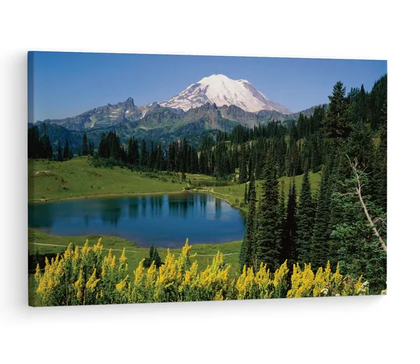 Multicolor_Mount_Rainier_National_Park,_Wooden_Framed_Canvas_Paintings_|_For_Living_Room_|_Bedroom_|_Office_|_Gallery_|_Ready_Wall_Mount_Canvas_Wall_Art_Painting_|_Size_-_12_X_18In,_Ct0954