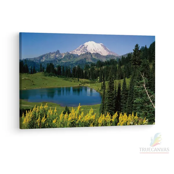 Multicolor_Mount_Rainier_National_Park,_Wooden_Framed_Canvas_Paintings_|_For_Living_Room_|_Bedroom_|_Office_|_Gallery_|_Ready_Wall_Mount_Canvas_Wall_Art_Painting_|_Size_-_12_X_18In,_Ct0954
