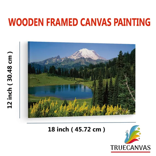 Multicolor_Mount_Rainier_National_Park,_Wooden_Framed_Canvas_Paintings_|_For_Living_Room_|_Bedroom_|_Office_|_Gallery_|_Ready_Wall_Mount_Canvas_Wall_Art_Painting_|_Size_-_12_X_18In,_Ct0954