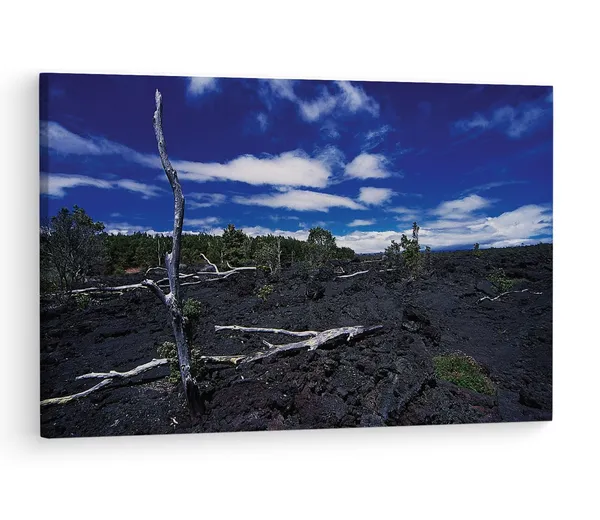 Multicolor_Barren_Land,_Wooden_Framed_Canvas_Paintings_|_For_Living_Room_|_Bedroom_|_Office_|_Gallery_|_Ready_Wall_Mount_Canvas_Wall_Art_Painting_|_Size_-_12_X_18In,_Ct0958