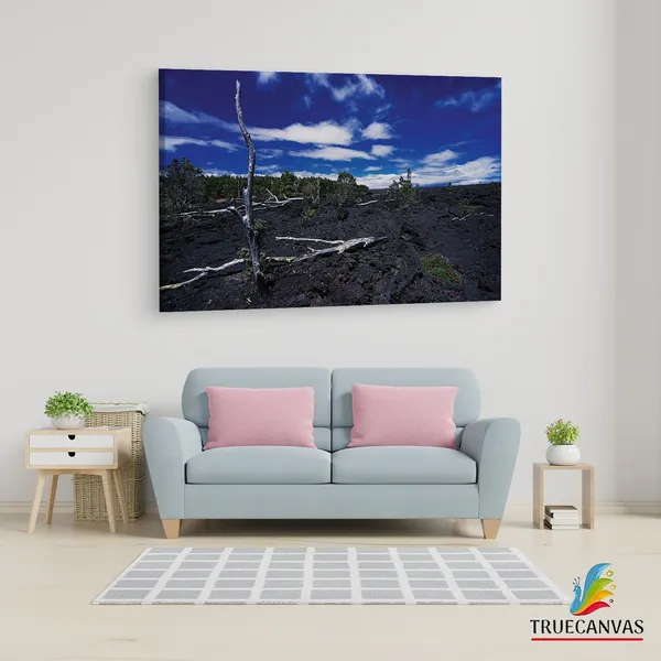 Multicolor_Barren_Land,_Wooden_Framed_Canvas_Paintings_|_For_Living_Room_|_Bedroom_|_Office_|_Gallery_|_Ready_Wall_Mount_Canvas_Wall_Art_Painting_|_Size_-_12_X_18In,_Ct0958