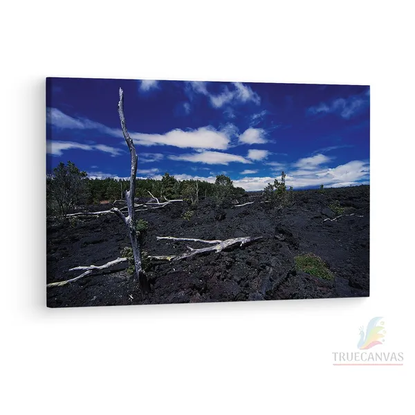 Multicolor_Barren_Land,_Wooden_Framed_Canvas_Paintings_|_For_Living_Room_|_Bedroom_|_Office_|_Gallery_|_Ready_Wall_Mount_Canvas_Wall_Art_Painting_|_Size_-_12_X_18In,_Ct0958
