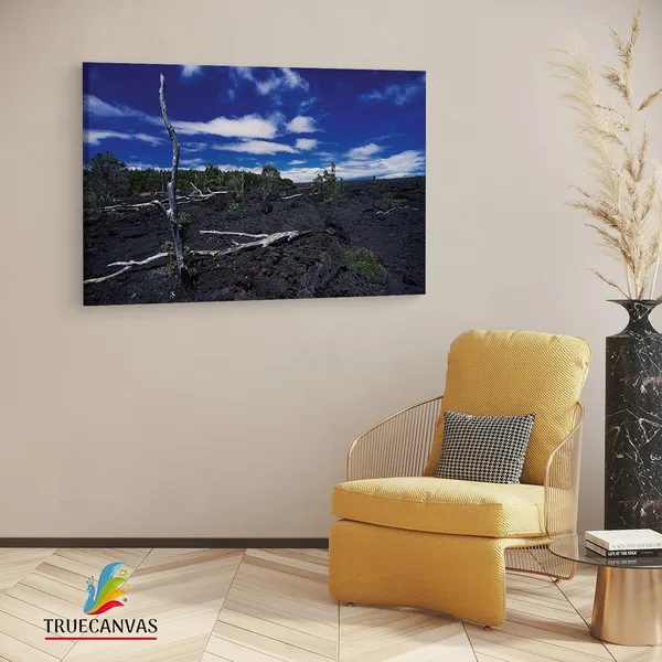 Multicolor_Barren_Land,_Wooden_Framed_Canvas_Paintings_|_For_Living_Room_|_Bedroom_|_Office_|_Gallery_|_Ready_Wall_Mount_Canvas_Wall_Art_Painting_|_Size_-_12_X_18In,_Ct0958