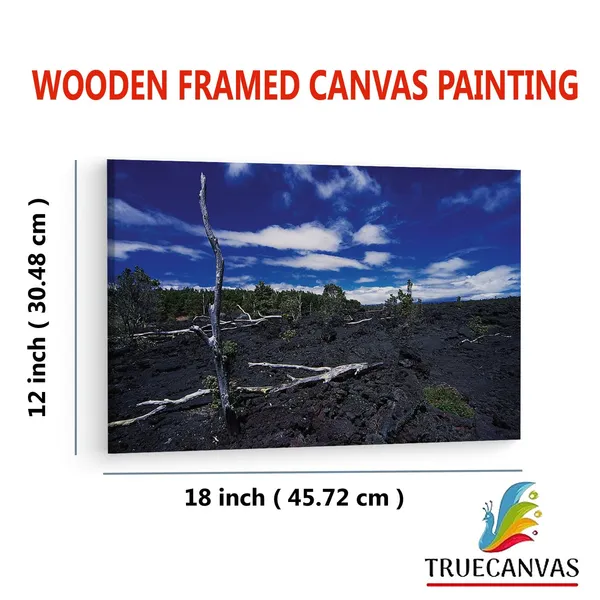Multicolor_Barren_Land,_Wooden_Framed_Canvas_Paintings_|_For_Living_Room_|_Bedroom_|_Office_|_Gallery_|_Ready_Wall_Mount_Canvas_Wall_Art_Painting_|_Size_-_12_X_18In,_Ct0958