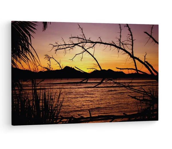Multicolor_Sunlights_Through_The_Trees,_Wooden_Framed_Canvas_Paintings_|_For_Living_Room_|_Bedroom_|_Office_|_Gallery_|_Ready_Wall_Mount_Canvas_Wall_Art_Painting_|_Size_-_12_X_18In,_Ct0960