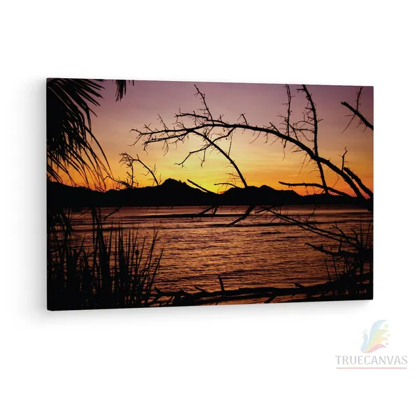 Multicolor_Sunlights_Through_The_Trees,_Wooden_Framed_Canvas_Paintings_|_For_Living_Room_|_Bedroom_|_Office_|_Gallery_|_Ready_Wall_Mount_Canvas_Wall_Art_Painting_|_Size_-_12_X_18In,_Ct0960
