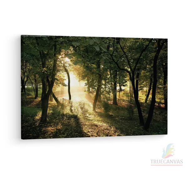Multicolor_|_Forest_Summer_Sun,_Wooden_Framed_Canvas_Paintings_|_For_Living_Room_|_Bedroom_|_Office_|_Gallery_|_Ready_Wall_Mount_Canvas_Wall_Art_Painting_|_Size_-_12_X_18In,_Ct0961