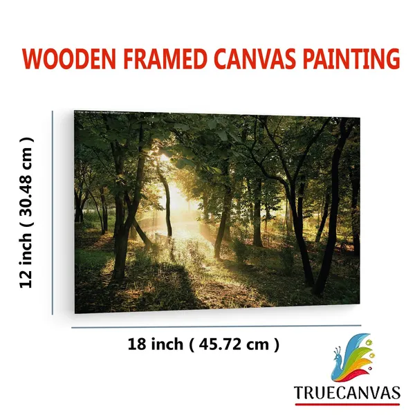 Multicolor_|_Forest_Summer_Sun,_Wooden_Framed_Canvas_Paintings_|_For_Living_Room_|_Bedroom_|_Office_|_Gallery_|_Ready_Wall_Mount_Canvas_Wall_Art_Painting_|_Size_-_12_X_18In,_Ct0961