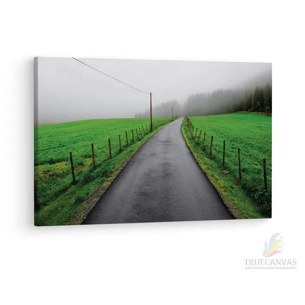 Multicolor_Beautiful_Road,_Wooden_Framed_Canvas_Paintings_|_For_Living_Room_|_Bedroom_|_Office_|_Gallery_|_Ready_Wall_Mount_Canvas_Wall_Art_Painting_|_Size_-_12_X_18In,_Ct0966