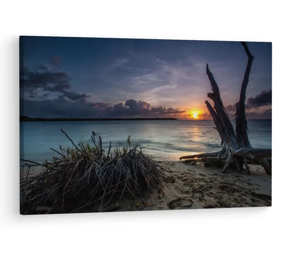 Multicolor_Dead_Trees_On_A_Beach_At_Sunset,_Wooden_Framed_Canvas_Paintings_|_For_Living_Room_|_Bedroom_|_Office_|_Gallery_|_Ready_Wall_Mount_Canvas_Wall_Art_Painting_|_Size_-_12_X_18In,_Ct0983