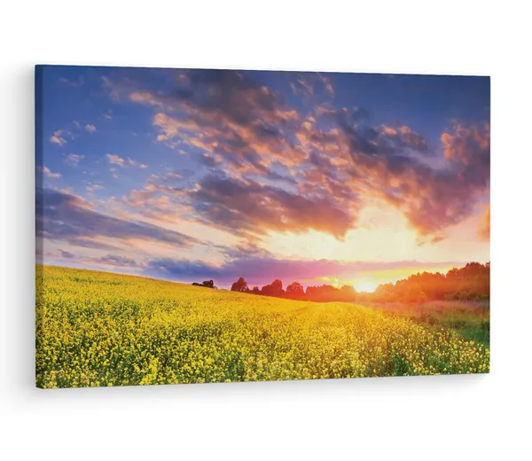 Multicolor_Spring_Time,_Pretty,_Colorful,_Wooden_Framed_Canvas_Paintings_|_For_Living_Room_|_Bedroom_|_Office_|_Gallery_|_Ready_Wall_Mount_Canvas_Wall_Art_Painting_|_Size_-_12_X_18In,_Ct0990