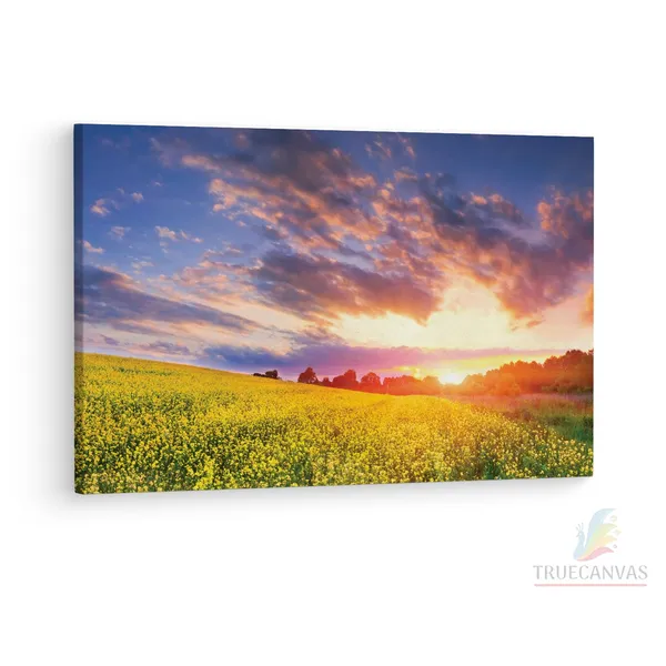 Multicolor_Spring_Time,_Pretty,_Colorful,_Wooden_Framed_Canvas_Paintings_|_For_Living_Room_|_Bedroom_|_Office_|_Gallery_|_Ready_Wall_Mount_Canvas_Wall_Art_Painting_|_Size_-_12_X_18In,_Ct0990