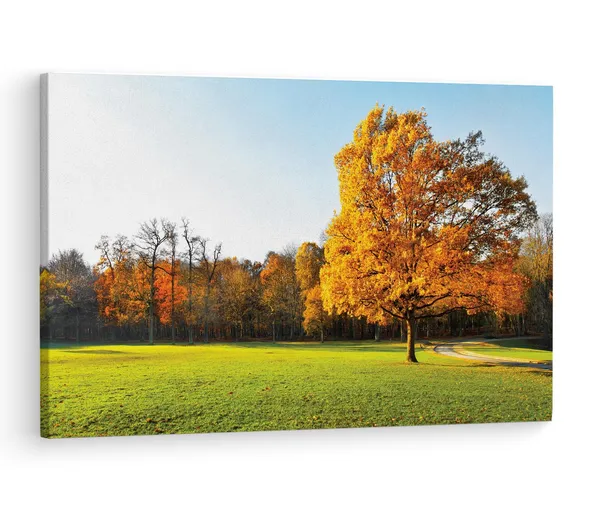 Multicolor_Abstract,_Wooden_Framed_Canvas_Paintings_|_For_Living_Room_|_Bedroom_|_Office_|_Gallery_|_Ready_Wall_Mount_Canvas_Wall_Art_Painting_|_Size_-_12_X_18In,_Ct0995
