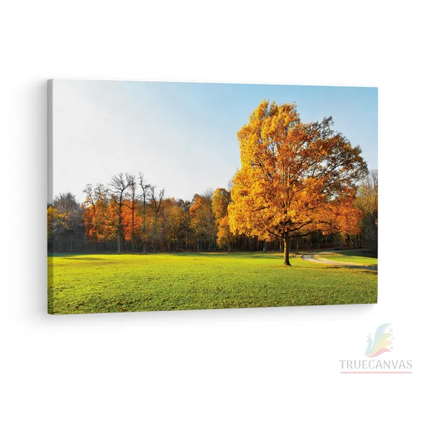 Multicolor_Abstract,_Wooden_Framed_Canvas_Paintings_|_For_Living_Room_|_Bedroom_|_Office_|_Gallery_|_Ready_Wall_Mount_Canvas_Wall_Art_Painting_|_Size_-_12_X_18In,_Ct0995