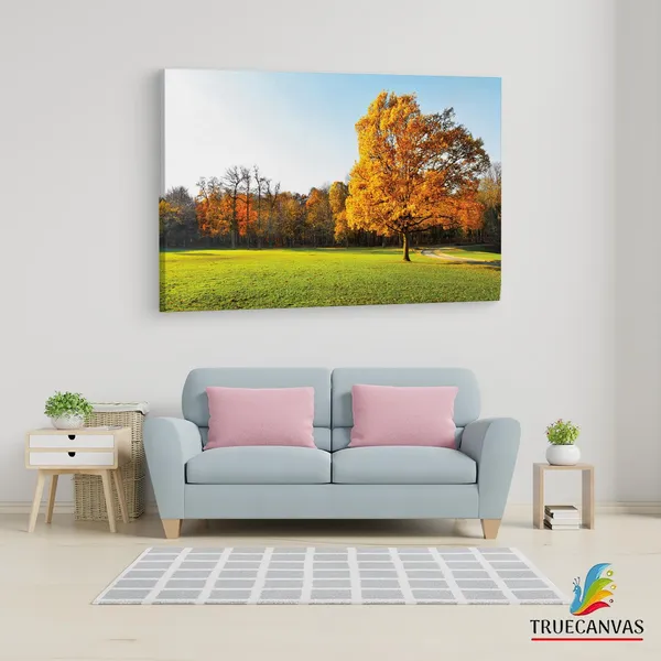 Multicolor_Abstract,_Wooden_Framed_Canvas_Paintings_|_For_Living_Room_|_Bedroom_|_Office_|_Gallery_|_Ready_Wall_Mount_Canvas_Wall_Art_Painting_|_Size_-_12_X_18In,_Ct0995