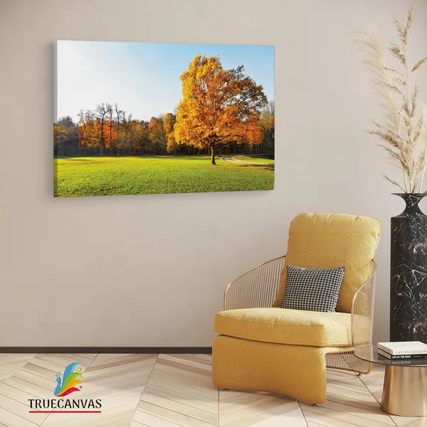 Multicolor_Abstract,_Wooden_Framed_Canvas_Paintings_|_For_Living_Room_|_Bedroom_|_Office_|_Gallery_|_Ready_Wall_Mount_Canvas_Wall_Art_Painting_|_Size_-_12_X_18In,_Ct0995
