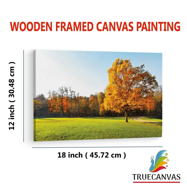 Multicolor_Abstract,_Wooden_Framed_Canvas_Paintings_|_For_Living_Room_|_Bedroom_|_Office_|_Gallery_|_Ready_Wall_Mount_Canvas_Wall_Art_Painting_|_Size_-_12_X_18In,_Ct0995