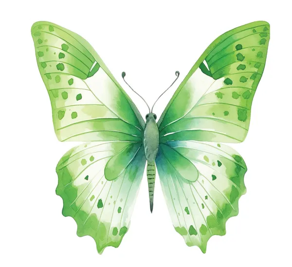 Multicolor_Decal_Wall_Sticker_Reusable_Self-Adhesive_Sticker_(Pvc_Vinyl,_24_X_24_Inch,_Multicolour),_Dc05
