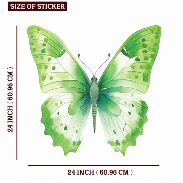 Multicolor_Decal_Wall_Sticker_Reusable_Self-Adhesive_Sticker_(Pvc_Vinyl,_24_X_24_Inch,_Multicolour),_Dc05
