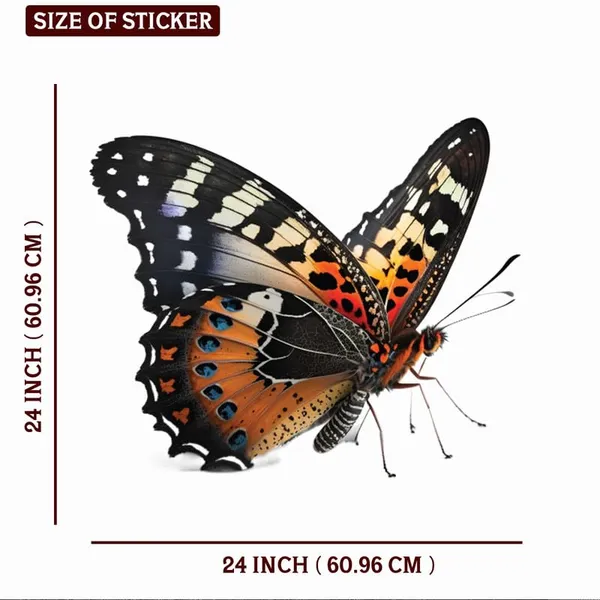 Multicolor_Decal_Wall_Sticker_Reusable_Self-Adhesive_Sticker_(Pvc_Vinyl,_24_X_24_Inch,_Multicolour),_Dc06