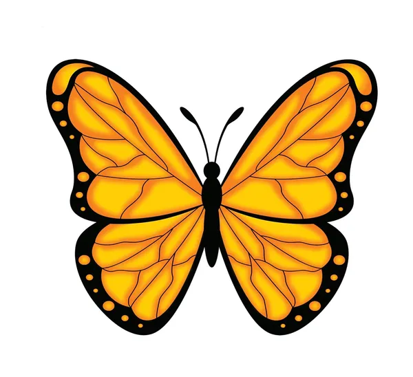 Multicolor_Decal_Wall_Sticker_Reusable_Self-Adhesive_Sticker_(Pvc_Vinyl,_24_X_24_Inch,_Multicolour),_Dc09