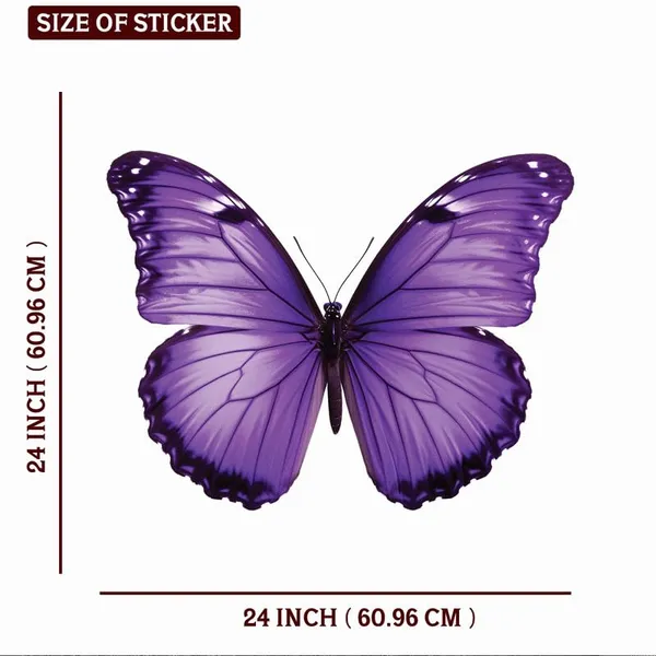 Multicolor_Decal_Wall_Sticker_Reusable_Self-Adhesive_Sticker_(Pvc_Vinyl,_24_X_24_Inch,_Multicolour),_Dc12