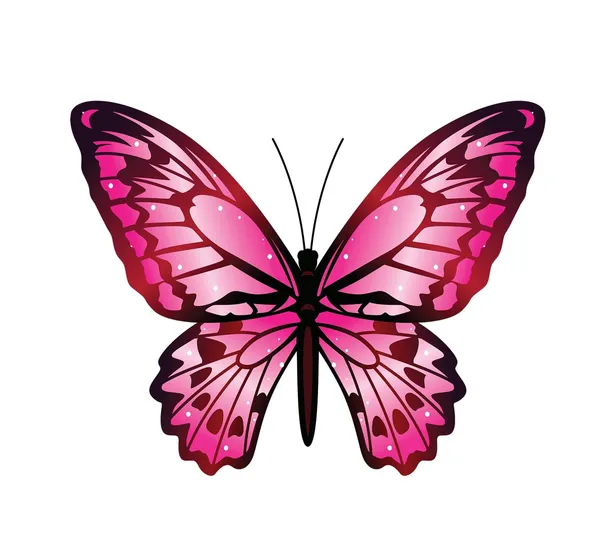 Multicolor_Decal_Wall_Sticker_Reusable_Self-Adhesive_Sticker_(Pvc_Vinyl,_24_X_24_Inch,_Multicolour),_Dc18
