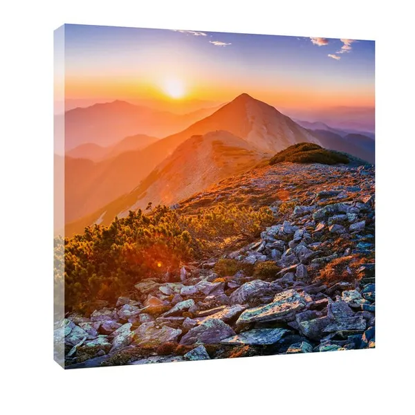 Multicolor_Abstract_24_X_24_Inch,_Wooden_Framed_Canvas_Painting_|_For_Bedroom,_Living_Room,_Study_Room_&_Office_|_Pine_Wood_Frame_(61_X_61_Cms)