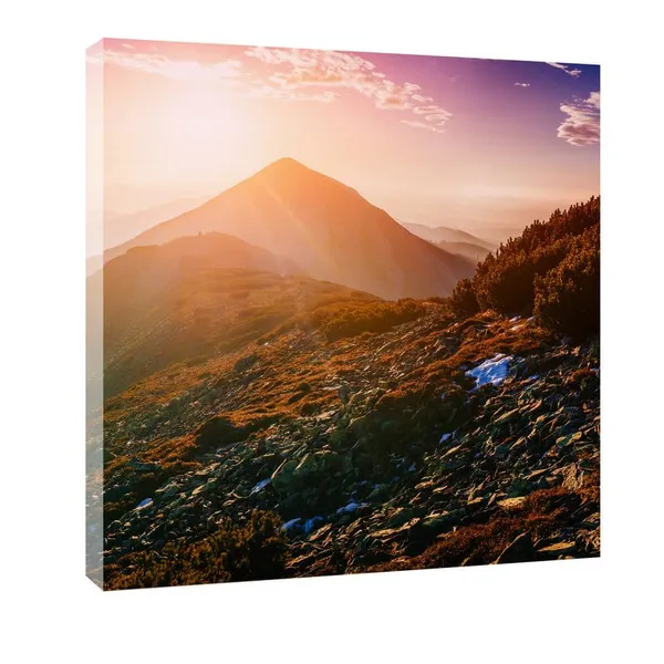 Multicolor_Abstract_24_X_24_Inch,_Wooden_Framed_Canvas_Painting_|_For_Bedroom,_Living_Room,_Study_Room_&_Office_|_Pine_Wood_Frame_(61_X_61_Cms)