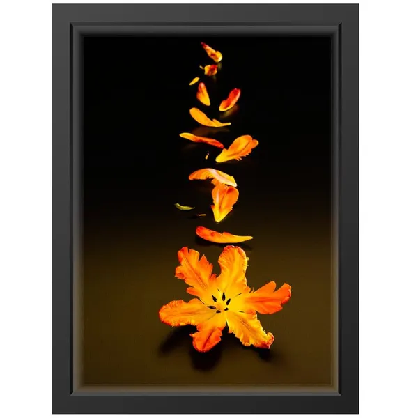 Black__Abstract/Motivational_Framed_Painting/Posters,_Ready_|_For_Wall_Hanging,_Premium_Art_|_For_Home,_Office,_Living_Room_&_Bedroom_Wall_Decor,_(Size_-_13.50_X_19.50_In),_Frame_Color:_Black,_Nrs242