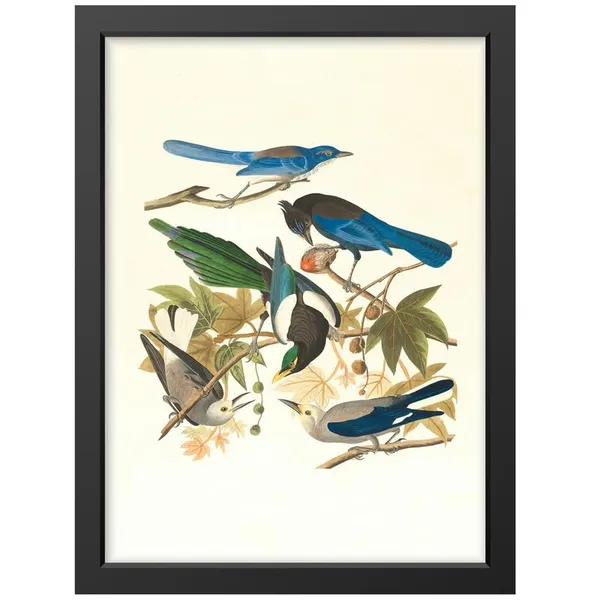 Multicolor_Abstract/Motivational_Framed_Painting/Posters,_Ready_|_For_Wall_Hanging,_Premium_Art_|_For_Home,_Office,_Living_Room_&_Bedroom_Wall_Decor,_(Size_-_13.50_X_19.50_In),_Frame_Color:_Black,_Nrs333
