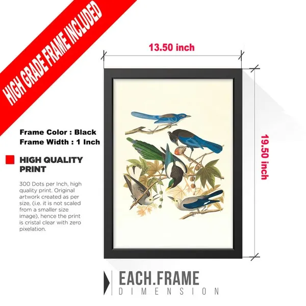 Multicolor_Abstract/Motivational_Framed_Painting/Posters,_Ready_|_For_Wall_Hanging,_Premium_Art_|_For_Home,_Office,_Living_Room_&_Bedroom_Wall_Decor,_(Size_-_13.50_X_19.50_In),_Frame_Color:_Black,_Nrs333