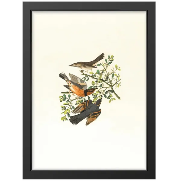 Multicolor_Abstract/Motivational_Framed_Painting/Posters,_Ready_|_For_Wall_Hanging,_Premium_Art_|_For_Home,_Office,_Living_Room_&_Bedroom_Wall_Decor,_(Size_-_13.50_X_19.50_In),_Frame_Color:_Black,_Nrs339