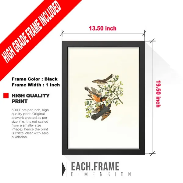 Multicolor_Abstract/Motivational_Framed_Painting/Posters,_Ready_|_For_Wall_Hanging,_Premium_Art_|_For_Home,_Office,_Living_Room_&_Bedroom_Wall_Decor,_(Size_-_13.50_X_19.50_In),_Frame_Color:_Black,_Nrs339