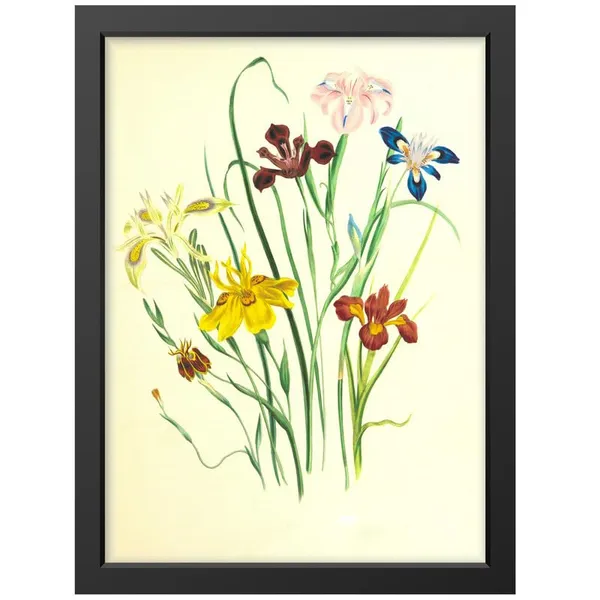 Multicolor_Abstract/Motivational_Framed_Painting/Posters,_Ready_|_For_Wall_Hanging,_Premium_Art_|_For_Home,_Office,_Living_Room_&_Bedroom_Wall_Decor,_(Size_-_13.50_X_19.50_In),_Frame_Color:_Black,_Nrs352