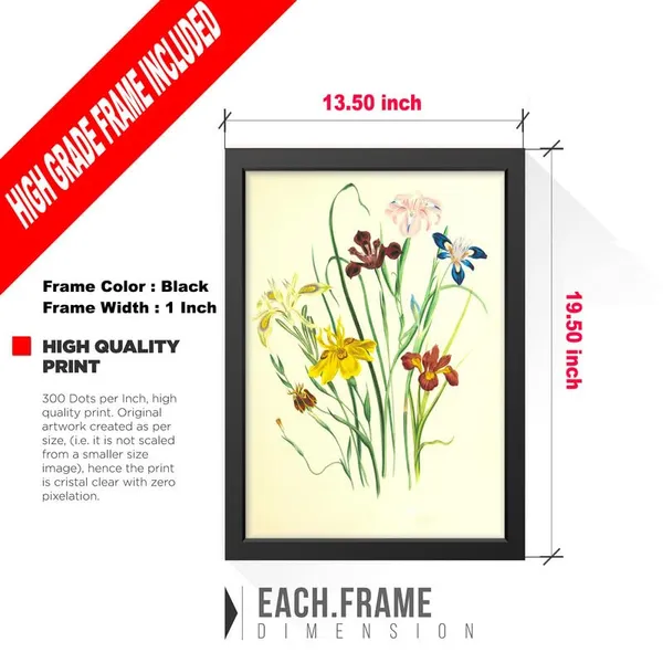 Multicolor_Abstract/Motivational_Framed_Painting/Posters,_Ready_|_For_Wall_Hanging,_Premium_Art_|_For_Home,_Office,_Living_Room_&_Bedroom_Wall_Decor,_(Size_-_13.50_X_19.50_In),_Frame_Color:_Black,_Nrs352