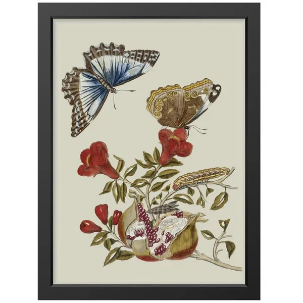 Black__Abstract/Motivational_Framed_Painting/Posters,_Ready_|_For_Wall_Hanging,_Premium_Art_|_For_Home,_Office,_Living_Room_&_Bedroom_Wall_Decor,_(Size_-_13.50_X_19.50_In),_Frame_Color:_Black,_Nrs365