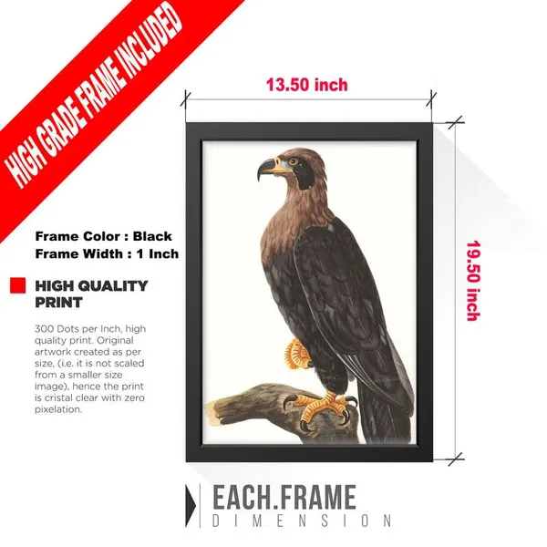 Black__Abstract/Motivational_Framed_Painting/Posters,_Ready_|_For_Wall_Hanging,_Premium_Art_|_For_Home,_Office,_Living_Room_&_Bedroom_Wall_Decor,_(Size_-_13.50_X_19.50_In),_Frame_Color:_Black,_Nrs413