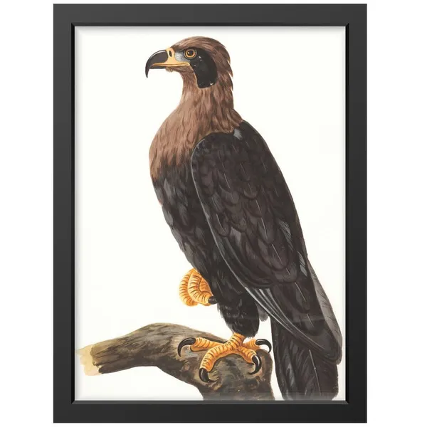 Black__Abstract/Motivational_Framed_Painting/Posters,_Ready_|_For_Wall_Hanging,_Premium_Art_|_For_Home,_Office,_Living_Room_&_Bedroom_Wall_Decor,_(Size_-_13.50_X_19.50_In),_Frame_Color:_Black,_Nrs413