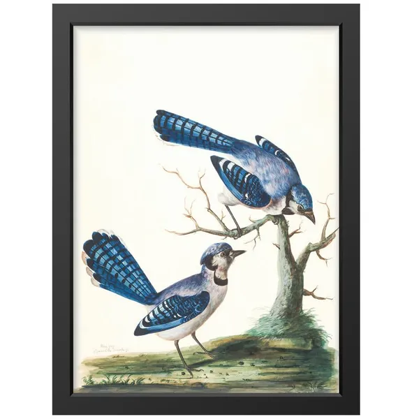 Black__Abstract/Motivational_Framed_Painting/Posters,_Ready_|_For_Wall_Hanging,_Premium_Art_|_For_Home,_Office,_Living_Room_&_Bedroom_Wall_Decor,_(Size_-_13.50_X_19.50_In),_Frame_Color:_Black,_Nrs422