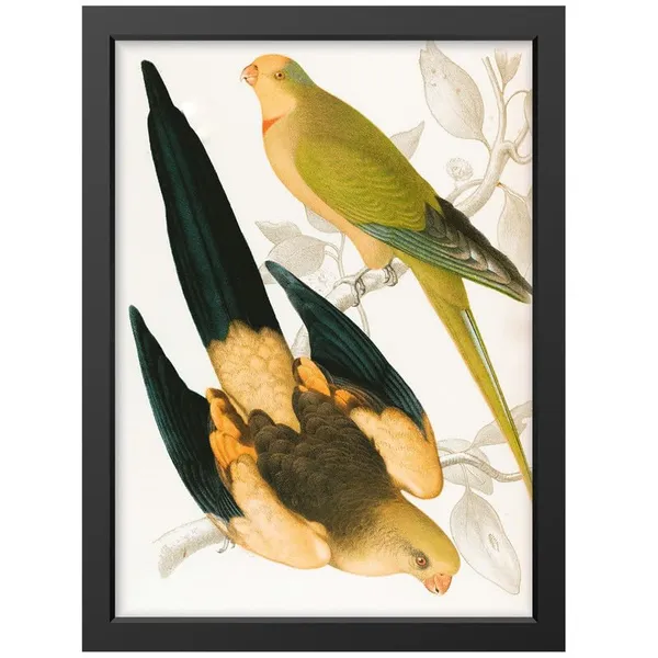 Black__Abstract/Motivational_Framed_Painting/Posters,_Ready_|_For_Wall_Hanging,_Premium_Art_|_For_Home,_Office,_Living_Room_&_Bedroom_Wall_Decor,_(Size_-_13.50_X_19.50_In),_Frame_Color:_Black,_Nrs428
