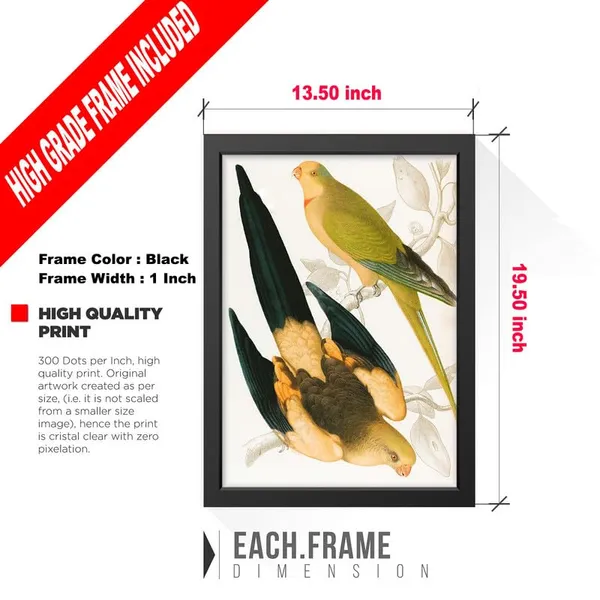 Black__Abstract/Motivational_Framed_Painting/Posters,_Ready_|_For_Wall_Hanging,_Premium_Art_|_For_Home,_Office,_Living_Room_&_Bedroom_Wall_Decor,_(Size_-_13.50_X_19.50_In),_Frame_Color:_Black,_Nrs428