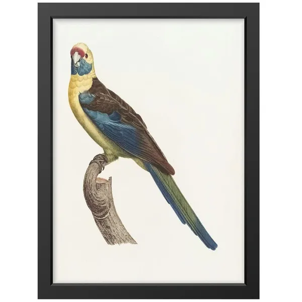 Black__Abstract/Motivational_Framed_Painting/Posters,_Ready_|_For_Wall_Hanging,_Premium_Art_|_For_Home,_Office,_Living_Room_&_Bedroom_Wall_Decor,_(Size_-_13.50_X_19.50_In),_Frame_Color:_Black,_Nrs458