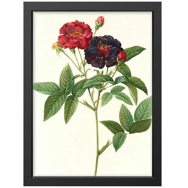 Black__Abstract/Motivational_Framed_Painting/Posters,_Ready_|_For_Wall_Hanging,_Premium_Art_|_For_Home,_Office,_Living_Room_&_Bedroom_Wall_Decor,_(Size_-_13.50_X_19.50_In),_Frame_Color:_Black,_Nrs459